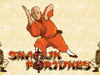 Shaolin Fortunes